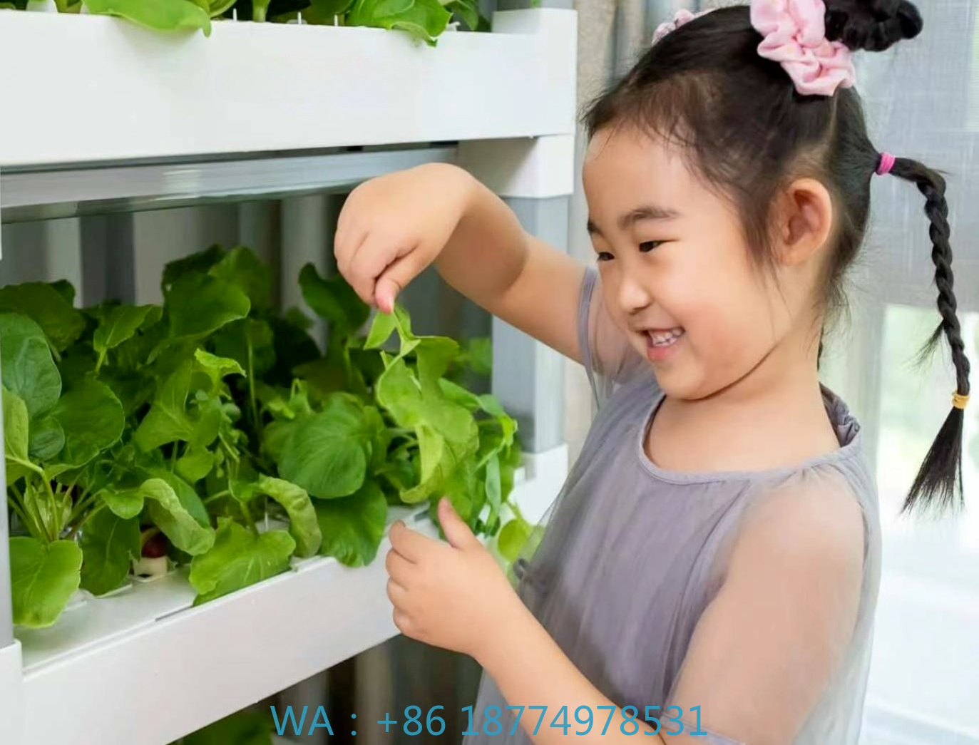 nt China Hydrokultur Grow Box  - огляд і ціна Diy Home Automation System