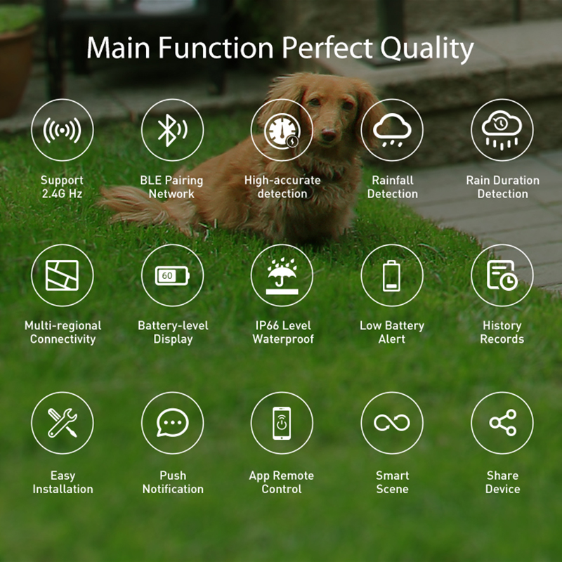 WiFi Rain Sensor Rainfall Dura - огляд і ціна Home Automation Technology