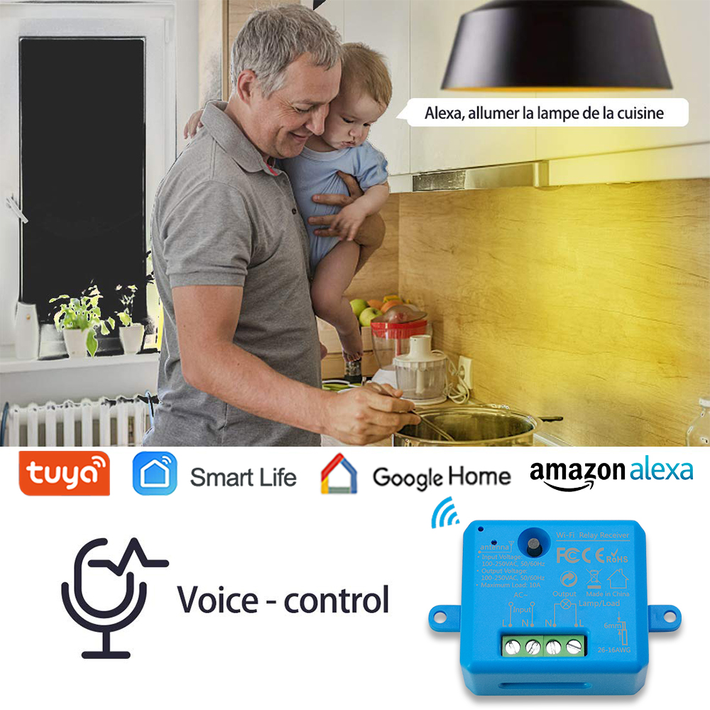 Tuya Smart Life WiFi Socket Ti - огляд і ціна Diy Home Automation Controller